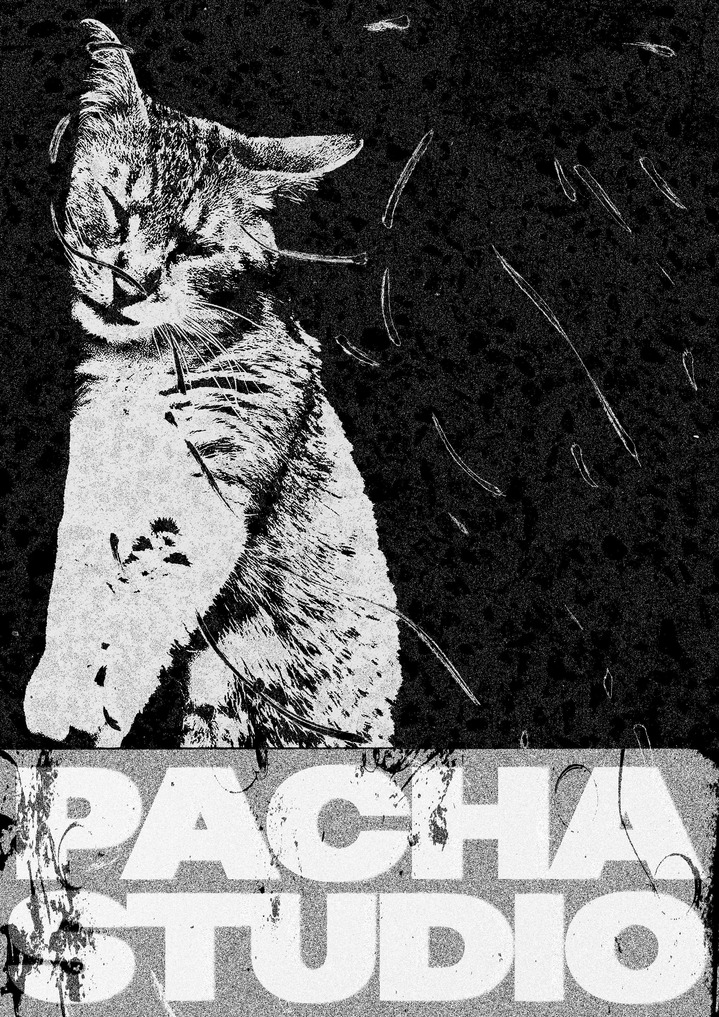 PACHA STUDIO